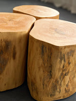 Tree Trunk Side Table