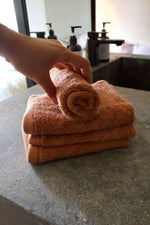 Guest Towel Set - Clay